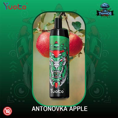 คุณภาพสูง YUOTO ทิ้ง Vape 5000puffs พร้อมตาข่ายม้วน